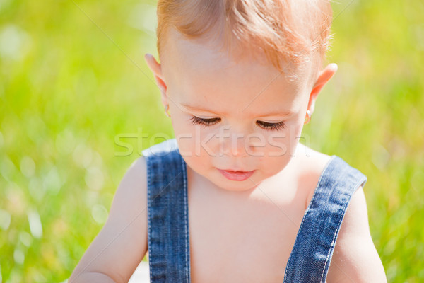 Extérieur faible temps chaud automne [[stock_photo]] © igabriela