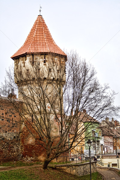 Obrona wieża miasta Rumunia zimą architektury Zdjęcia stock © igabriela