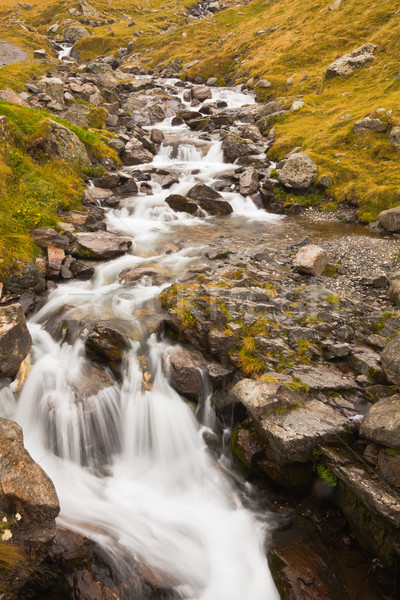 Capra River Stock photo © igabriela