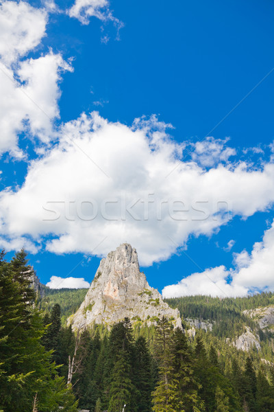 Foto stock: Montanhas · verão · paisagem · Romênia · azul · rocha