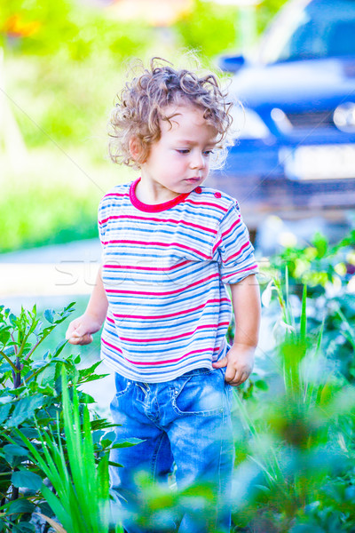 Stockfoto: Baby · jongen · outdoor · portret