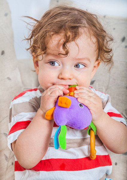 Stockfoto: Baby · jongen · kauwen · speelgoed · maanden · oude