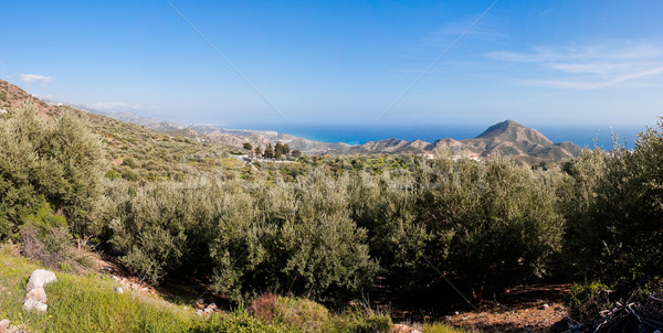 Panoramic view on the road to Ierapetra Stock photo © igabriela