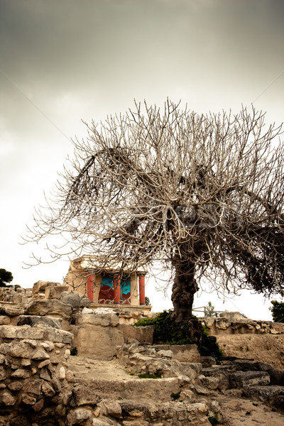 Knossos Archeological Site Stock photo © igabriela