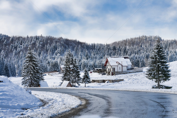 冬天 景觀 訴諸 羅馬尼亞 道路 性質 商業照片 © igabriela