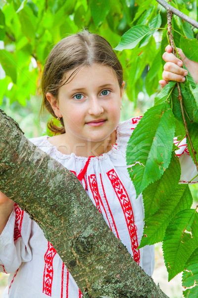 10 éves lány portré visel román hagyományos Stock fotó © igabriela