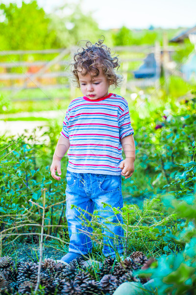 Stockfoto: Baby · jongen · outdoor · portret