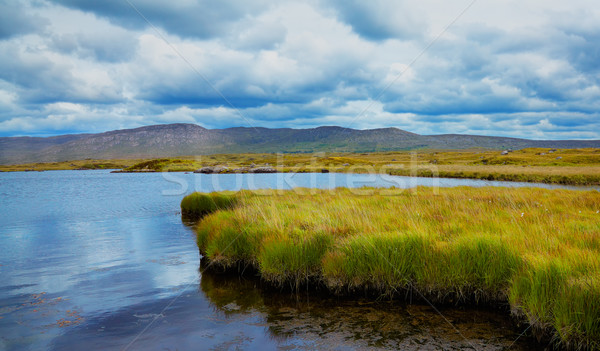 爐 湖 愛爾蘭 全景 棲息地 岸邊 商業照片 © igabriela