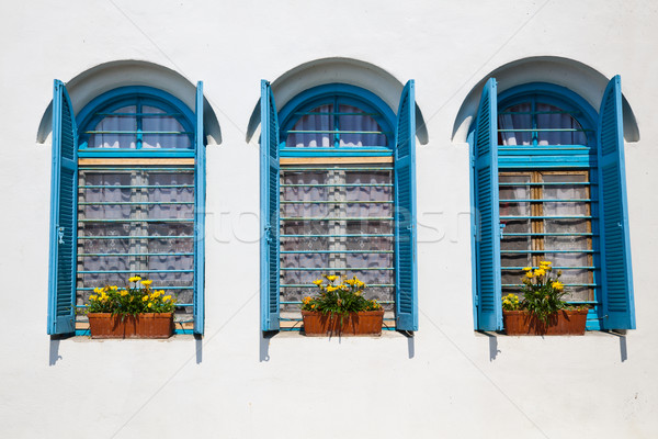 Windows at Agios Nikolaos Monastery Stock photo © igabriela