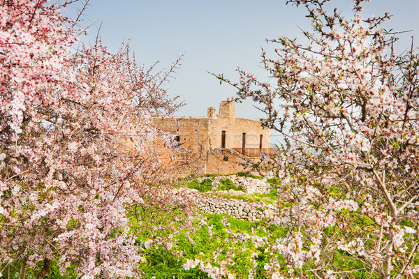 Stock photo: Monastery of St. John Theologian