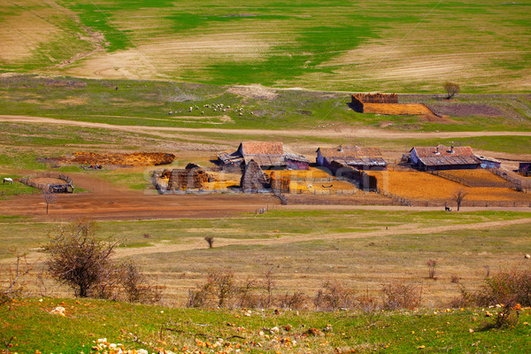 Traditioneel roemeense regio landschap schoonheid veld Stockfoto © igabriela