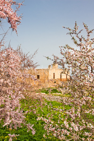 Monastery of St. John Theologian Stock photo © igabriela