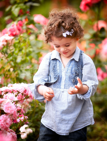 Kislány rózsa kert portré boldog kétéves Stock fotó © igabriela