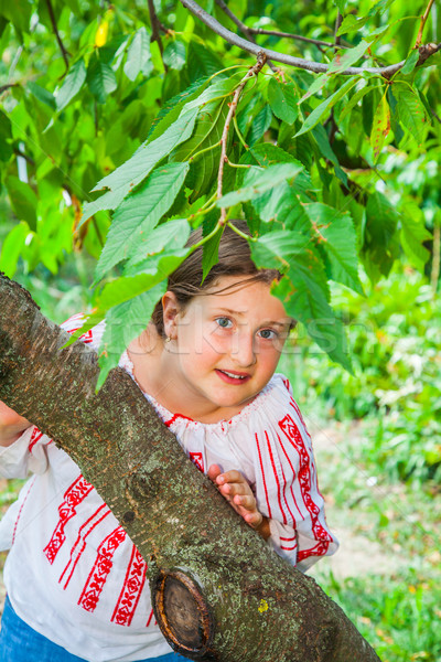 10 anni ragazza ritratto indossare rumeno tradizionale Foto d'archivio © igabriela