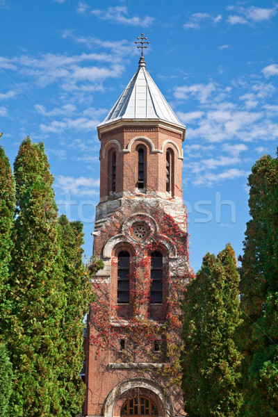 Kerk klooster detail secundair aanbidden blauwe hemel Stockfoto © igabriela