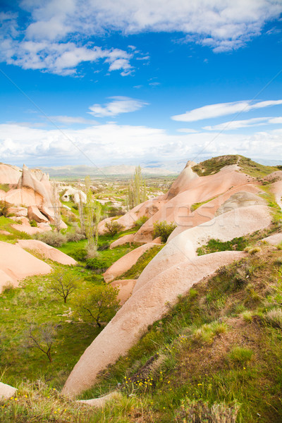 Cappadocia Stock photo © igabriela