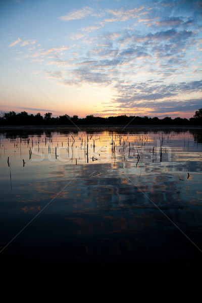 Delta schönen sunrise Landschaft Reserve Stock foto © igabriela