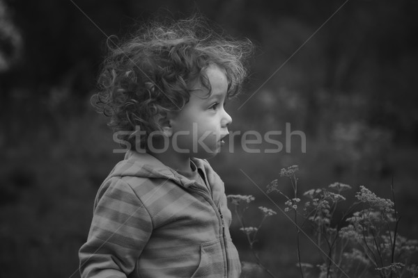 Baby boy outdoor in the countryside Stock photo © igabriela