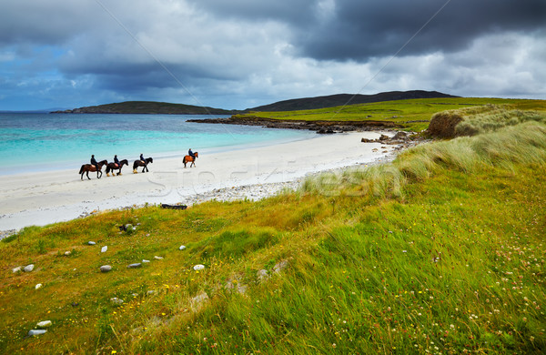 Horse and riders on the beach  Stock photo © igabriela