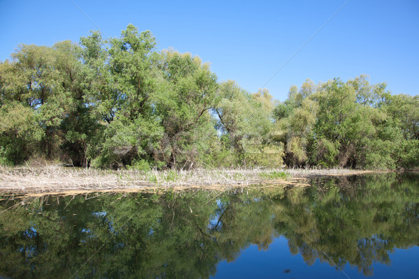 Stok fotoğraf: Tuna · delta · güzel · manzara · rezerv · Romanya