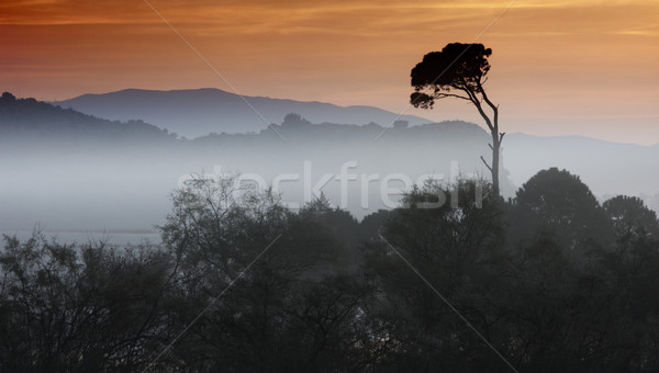 Morning landscape in Greece Stock photo © igabriela