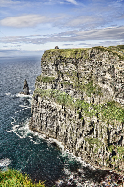 Cliffs of Moher Stock photo © igabriela