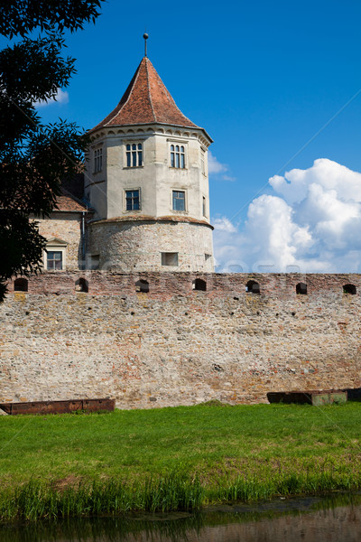 Fagaras Fortress Stock photo © igabriela