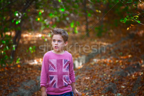 Fiú portré szabadtér 5 éves ősz erdő Stock fotó © igabriela