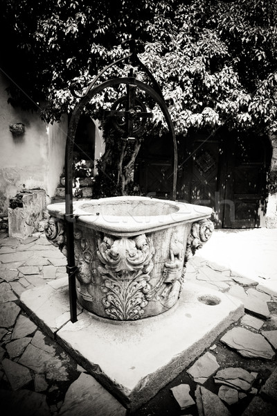 Fountain at Bran Castle Stock photo © igabriela