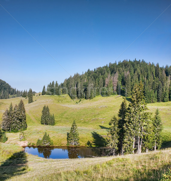 Lago montanas Rumania montana medio ambiente pino Foto stock © igabriela