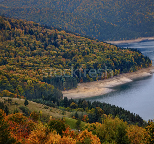 Autumn foliage Stock photo © igabriela