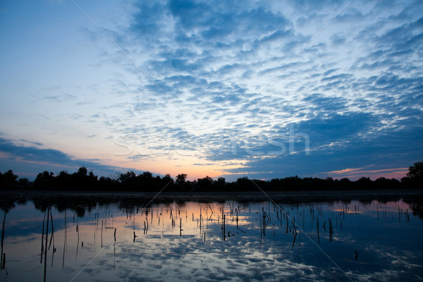 Danube Delta Stock photo © igabriela