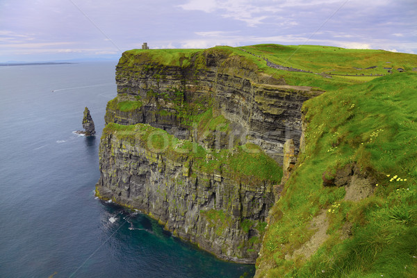 Cliffs of Moher Stock photo © igabriela