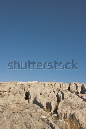 Rock field Stock photo © igabriela