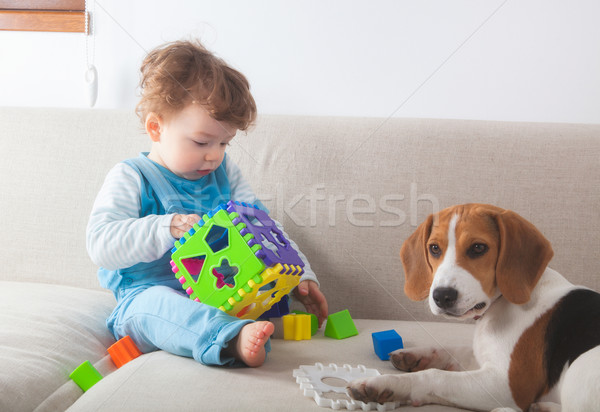 Foto stock: Bebé · nino · jugando · casa · juguetes · Beagle