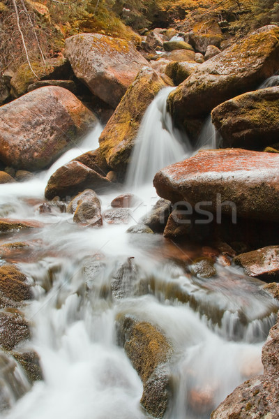Stanisoara and Pietrele River Stock photo © igabriela