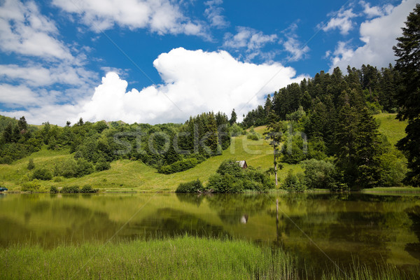 夏天 景觀 湖 山 羅馬尼亞 天空 商業照片 © igabriela