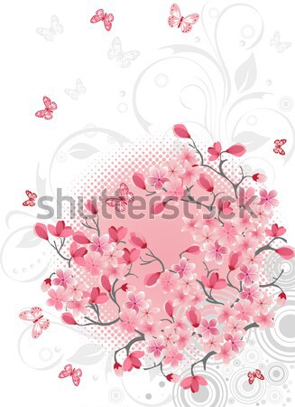 Sakura Kirschblüten Vektor Design Frühling abstrakten Stock foto © igor_shmel