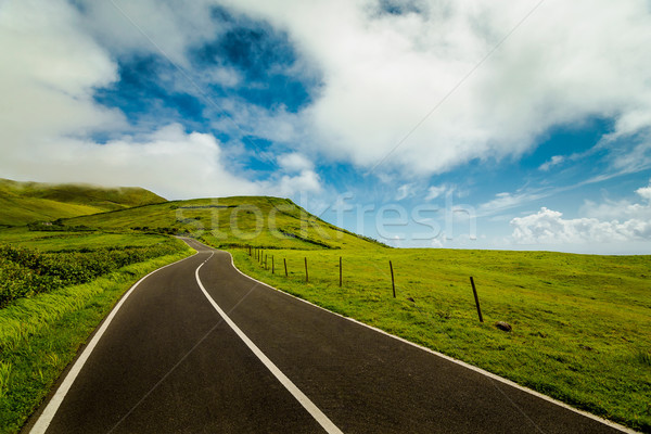 Beautiful road Stock photo © iko