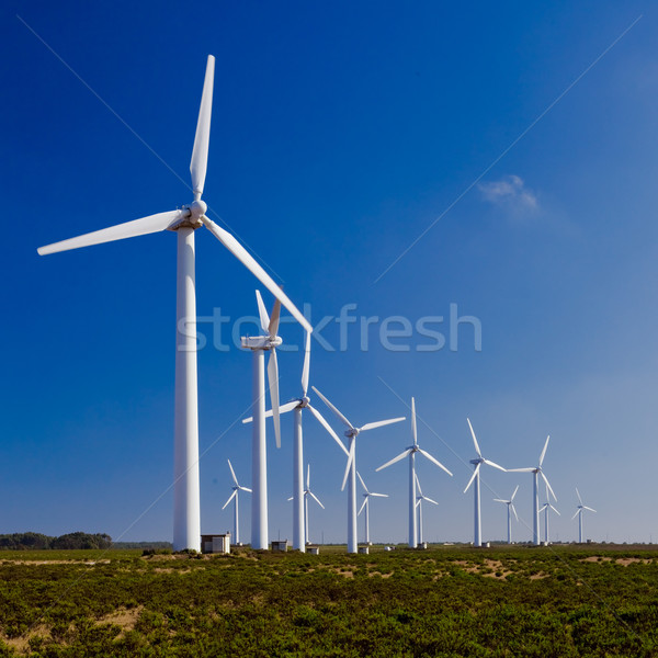 Windturbines Stock photo © iko