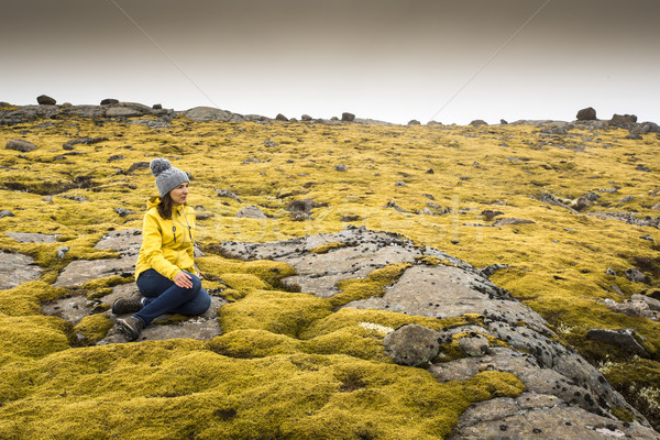 Stock photo: Surrounded by Icelandic moss