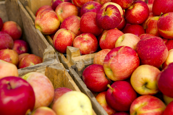Orgánico manzanas local mercado manzana salud Foto stock © iko