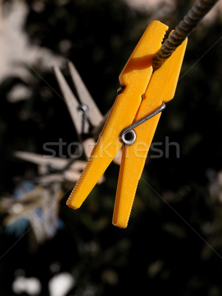 Сток-фото: прищепка · желтый · веревку · дома · саду · цвета