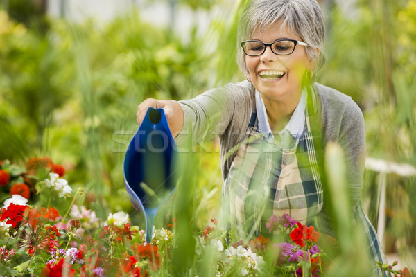 Foto stock: Mujer · madura · flores · hermosa · jardín · agua