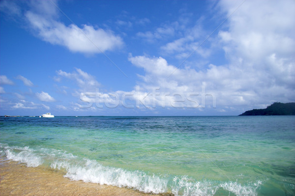 Egyenlítő tengerpart gyönyörű nagyszerű kék ég víz Stock fotó © iko