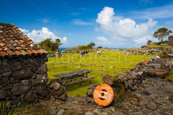 Azores typicalhouse Stock photo © iko