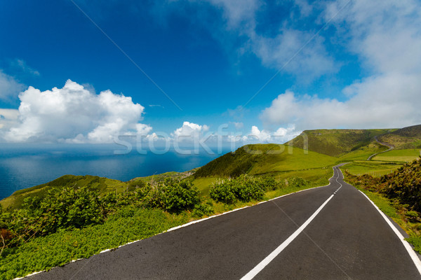 Beautiful road Stock photo © iko