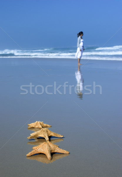 Tree Starfishes Stock photo © iko