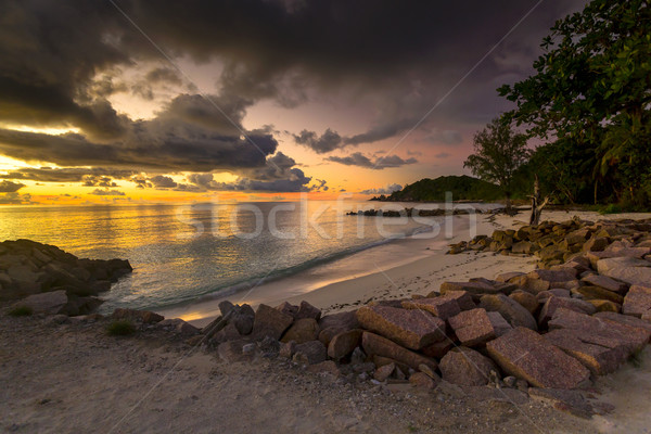 Anse Kerlan beach at the sunset Stock photo © iko