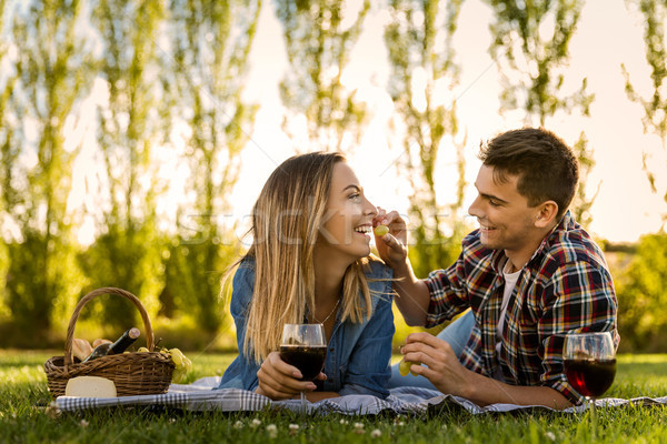 Just us and a Picnic Stock photo © iko